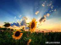 镇江恒桉建材商贸有限公司