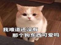 镇江恒桉建材商贸有限公司