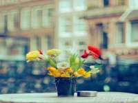 镇江恒桉建材商贸有限公司