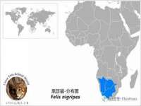 镇江恒桉建材商贸有限公司