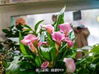 镇江恒桉建材商贸有限公司