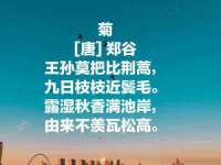 镇江恒桉建材商贸有限公司