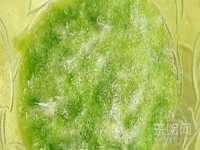 镇江恒桉建材商贸有限公司