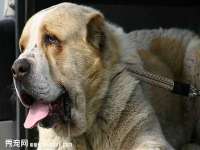 镇江恒桉建材商贸有限公司