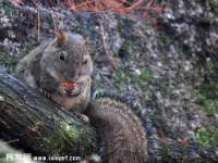 镇江恒桉建材商贸有限公司
